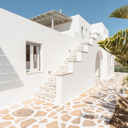 Celestial Seaview Apartments-Portara Naxos City المظهر الخارجي الصورة